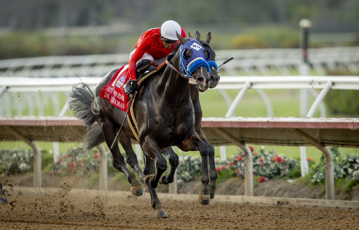 Evers (@a_evers) on Twitter photo Dr. Venkman earns a trip to the <a href="/BreedersCup/">Breeders' Cup</a> with a win in the Pat O'Brien Stakes <a href="/DelMarRacing/">Del Mar Racetrack</a> Dr. Venkman earns a trip to the <a href="/BreedersCup/">Breeders' Cup</a> with a win in the Pat O'Brien Stakes <a href="/DelMarRacing/">Del Mar Racetrack</a>