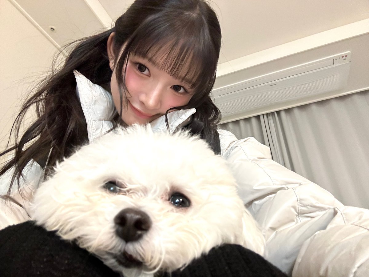 hourlynaoirei's tweet photo. #IVE #REI #아이브 #레이 #レイ https://t.co/BPOodfCdkP