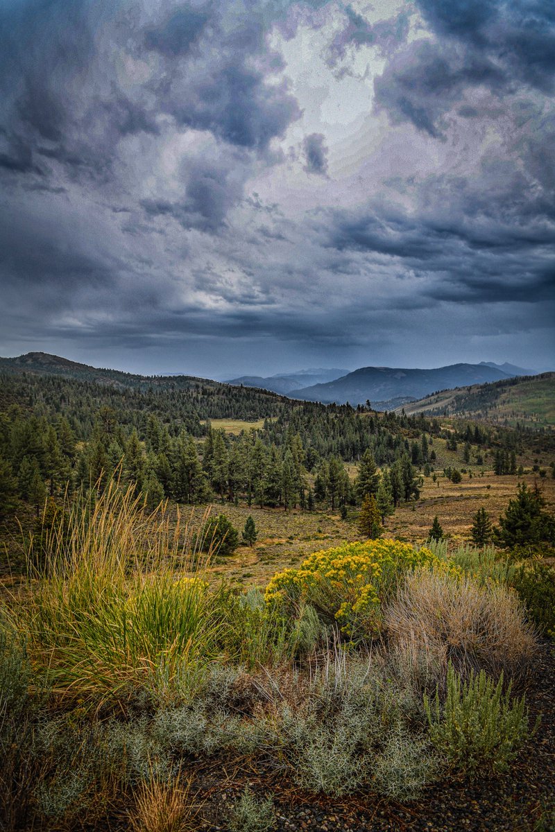 Took a Sierra drive today to check out the Monsoon. This is near Monitor Pass... and it was only 52 degrees!