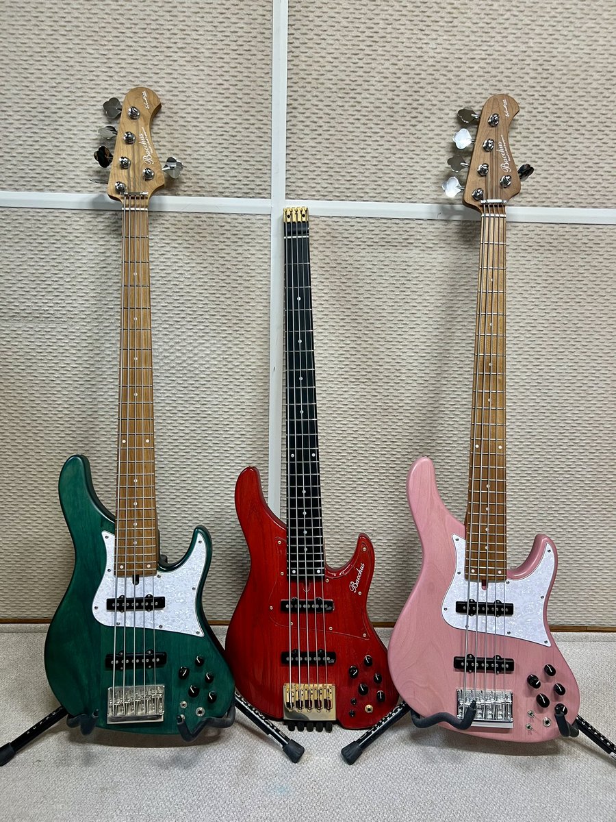 ワニグリーン🐊
さくらんぼレッド🍒
明太子ピンク🩷