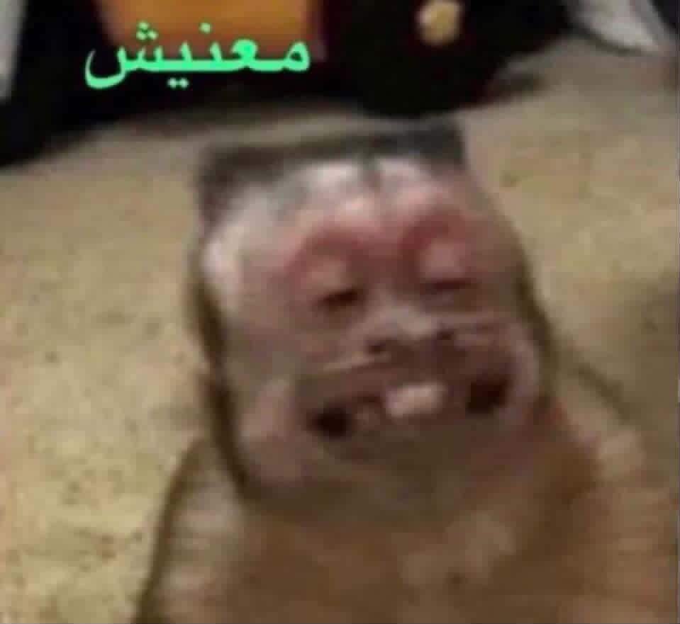 تهاوشت مع واحد على اساس بتنقل من المدرسه ودوامت ولقيته