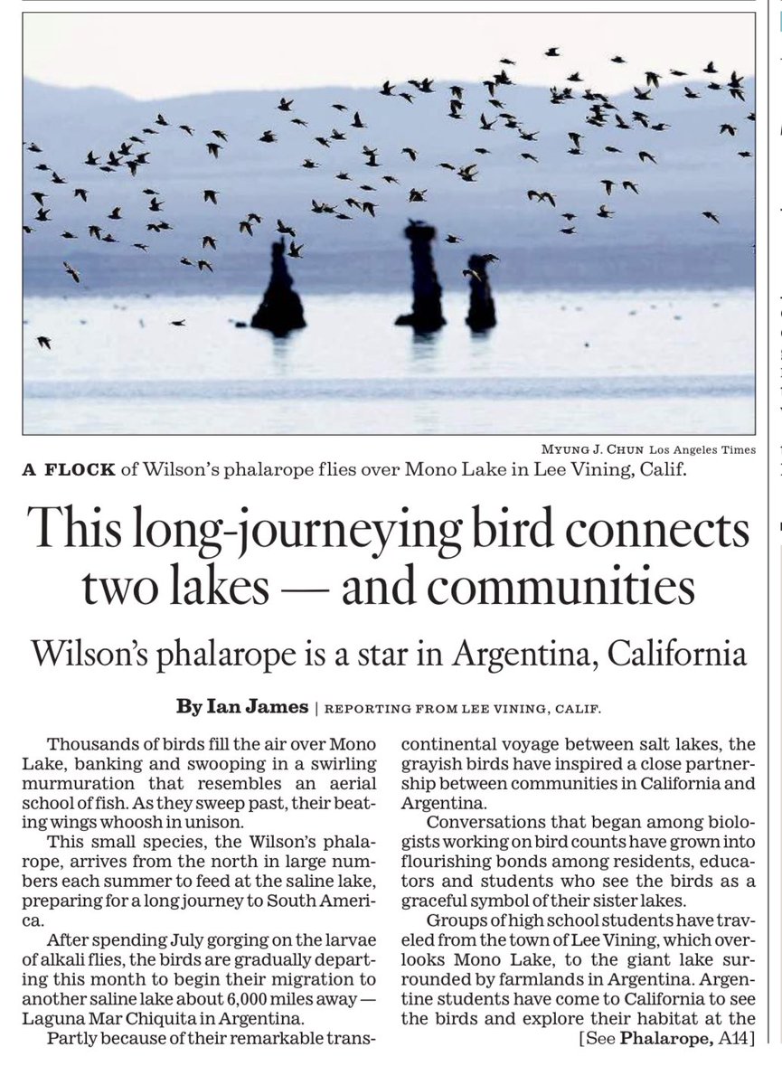 In today’s <a href="/latimes/">Los Angeles Times</a>:
A long-journeying bird connects lakes in California and Argentina — and two communities latimes.com/environment/st… <a href="/myung_chun/">Myung Chun</a> <a href="/latimesphotos/">L.A. Times Photos</a>