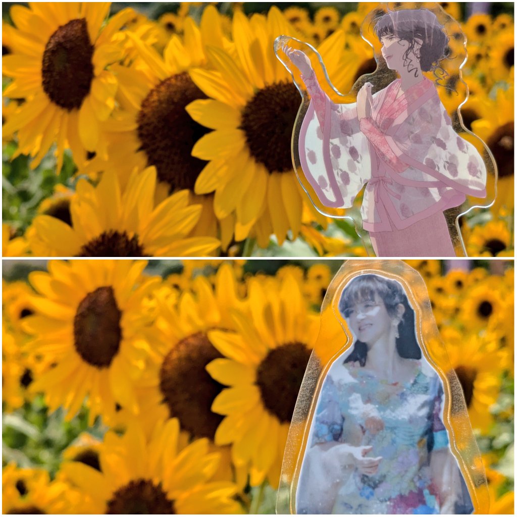 たとえ どんな名前で呼れるときも
花は香り続けるだろう
たとえ どんな名前の人の庭でも
花は香り続けるだろう