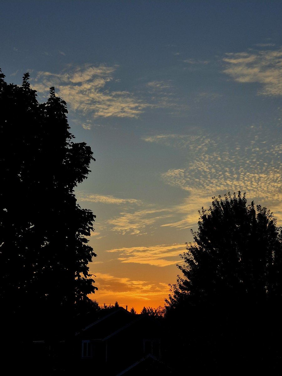 chriscabe3's tweet image. #greshamOR #sunset #orwx