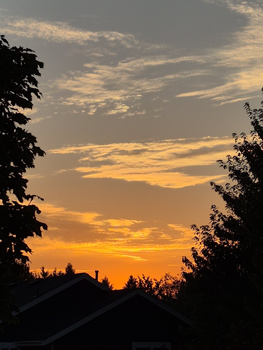 chriscabe3's tweet image. #greshamOR #sunset #orwx