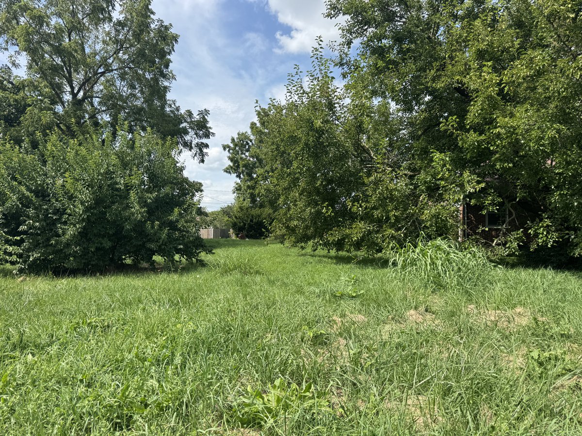 Outlandish Outdoors LLC tweet media