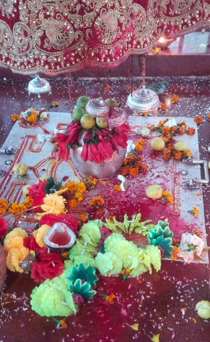 Jai Maa Guru Bhagwati 🙏🏻🙏🏻
