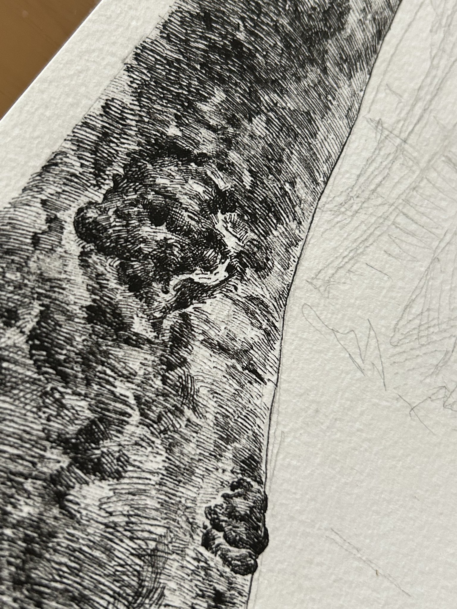 胡桃☀︎ペン画 on X: 