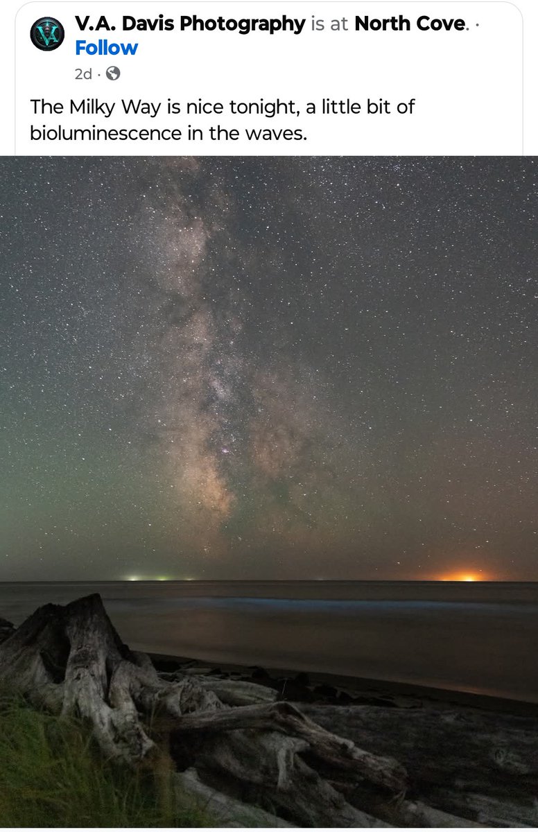 Wow.
Brilliant picture from North Cove, near Tokeland.