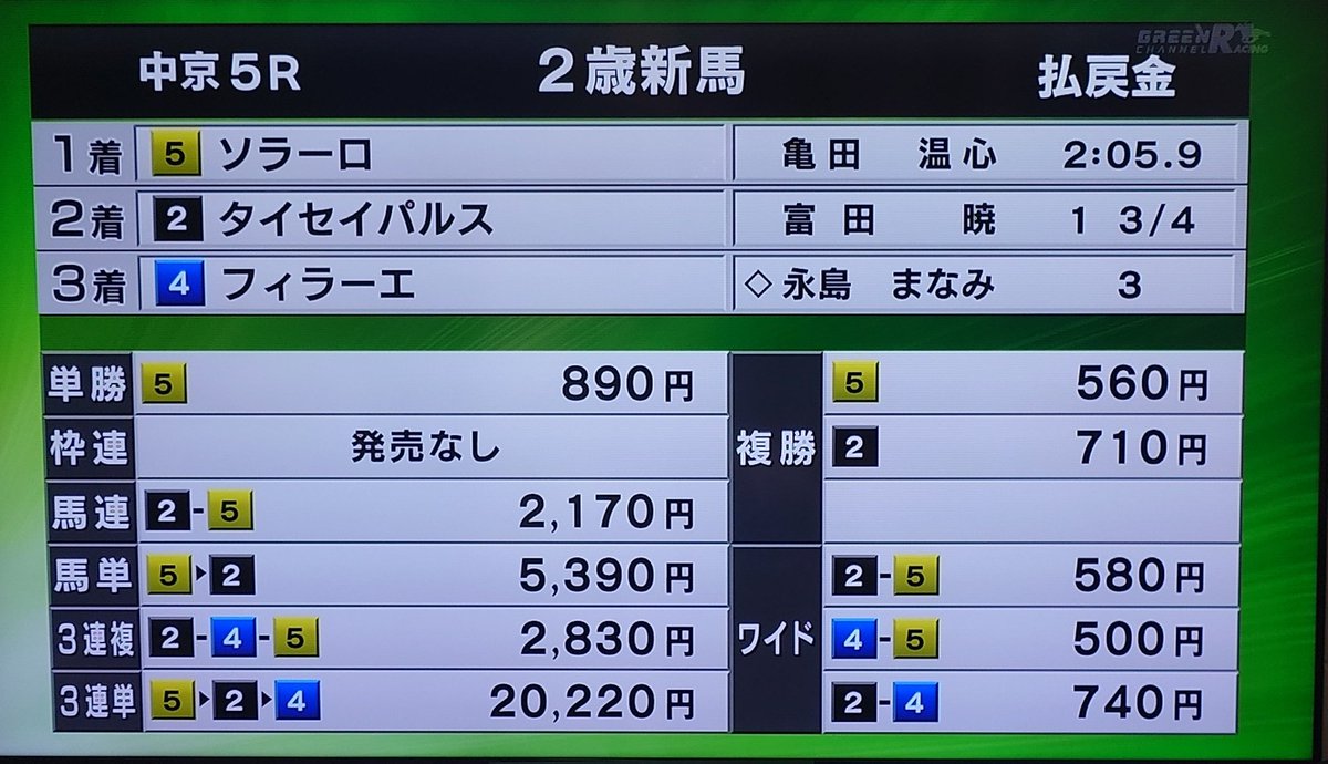 小塚アナ命名バイブレイションズの仔・タイセイパルス、2着頑張った！