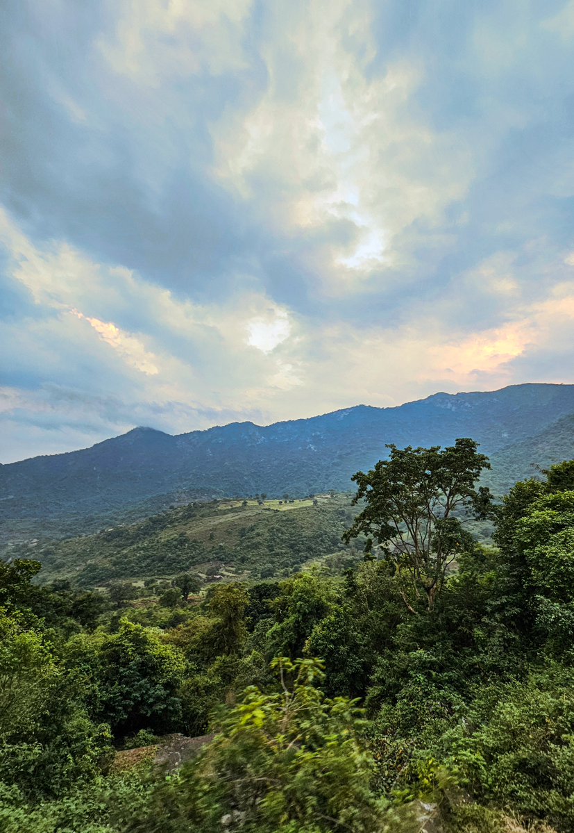 ପ୍ରତୀକ (@prateek_odisha) on Twitter photo Oh dear Eastern Ghats, your beauty doubles in monsoon♥️ .
One of the most underrated railway routes of India, Koraput, Odisha to Visakhapatnam, A.P under ECoR.
<a href="/Ananth_IRAS/">Ananth Rupanagudi</a>
#IndianRailways
#Odisha #Koraput Oh dear Eastern Ghats, your beauty doubles in monsoon♥️ .
One of the most underrated railway routes of India, Koraput, Odisha to Visakhapatnam, A.P under ECoR.
<a href="/Ananth_IRAS/">Ananth Rupanagudi</a>
#IndianRailways
#Odisha #Koraput