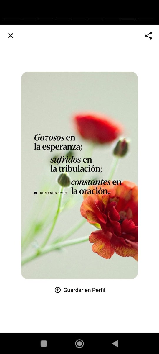Audiovisión Musical® (@audiovimusical) on Twitter photo 
