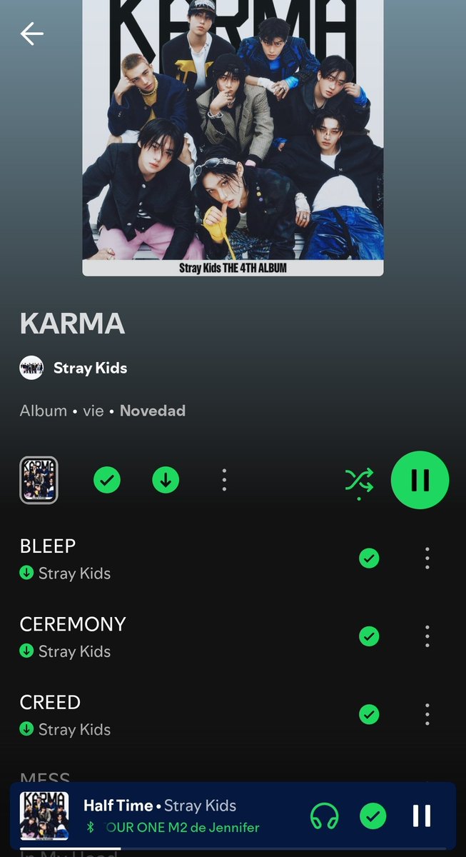 kiarhe's tweet photo. @ccstayss @Stray_Kids https://t.co/47jdFOoP5K