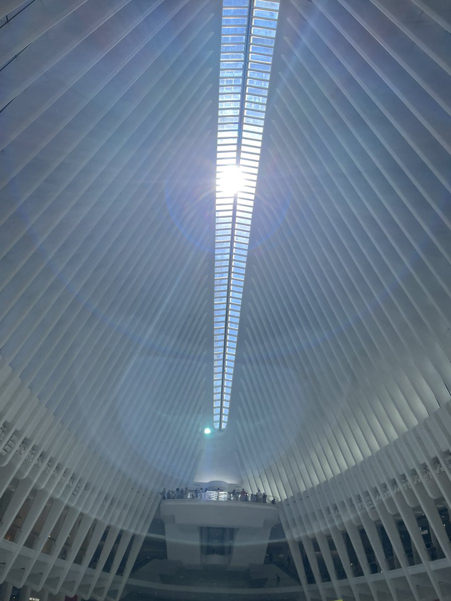 Final Ryan tweet media