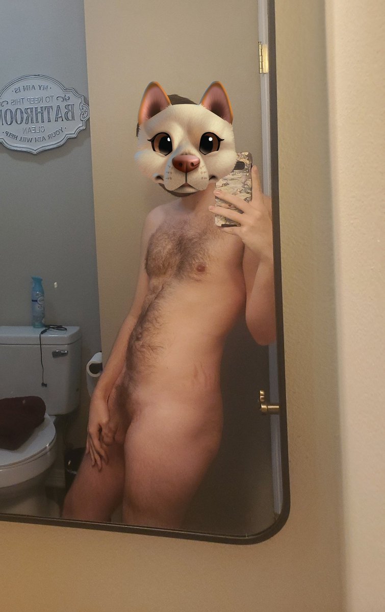 PupLane's tweet photo. Sorry im so bad I posting regularly, I always forget about Twitter posting. Have a nice pic I took the other day. https://t.co/vf65mLrCdr