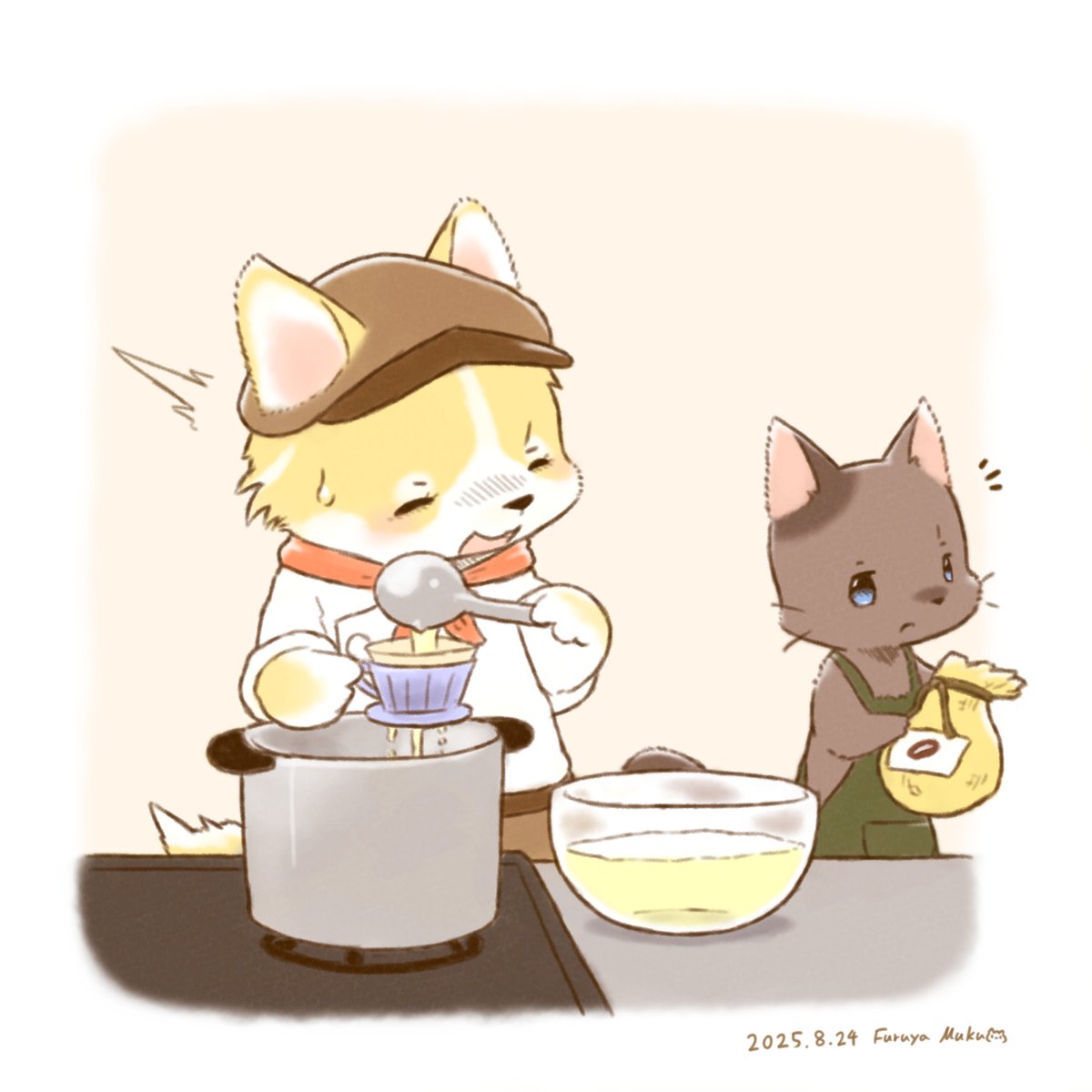 お味噌汁の出汁取りにコーヒー用のペーパーフィルタを使ってみたら意外と楽だったので…