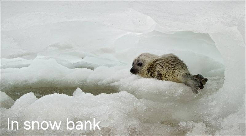 SealDev2's tweet photo. He has nothing in his bank account https://t.co/ROQhrWjoJc