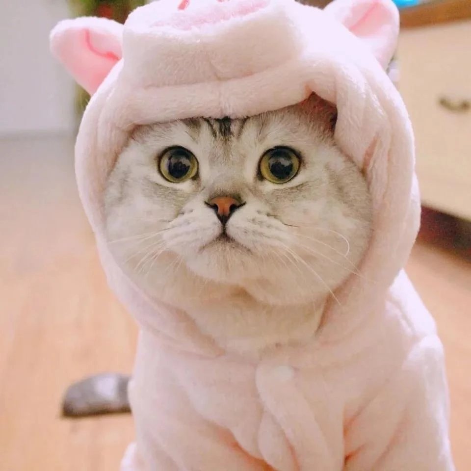 He that thinks his business below him will always be above his business.🚋🛃🐪12617
Organization speech area capital they child actually thing organization.