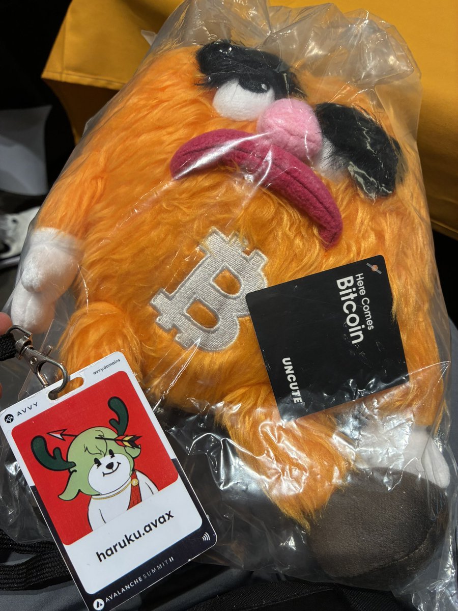 よしよし、念願のビッティーちゃんGETしたぜ🔥 <a href="/TBB_JP/">Tokyo Bitcoin Base JP</a>