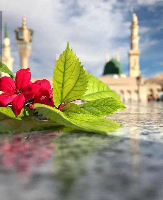 "اللهُم كما جبرت خاطر يعقوب  
برجوع يوسف وكما جبرت بخاطر  
يونس عندما كان في ظلمات البحر  
أجبر خواطرنا جبراً انت وليه جبراً  
يتعجبُ منه أهل السموات والارض.."🤲🏻🌸

#صباح_الخير 
#صباح_الخير_والسعاده