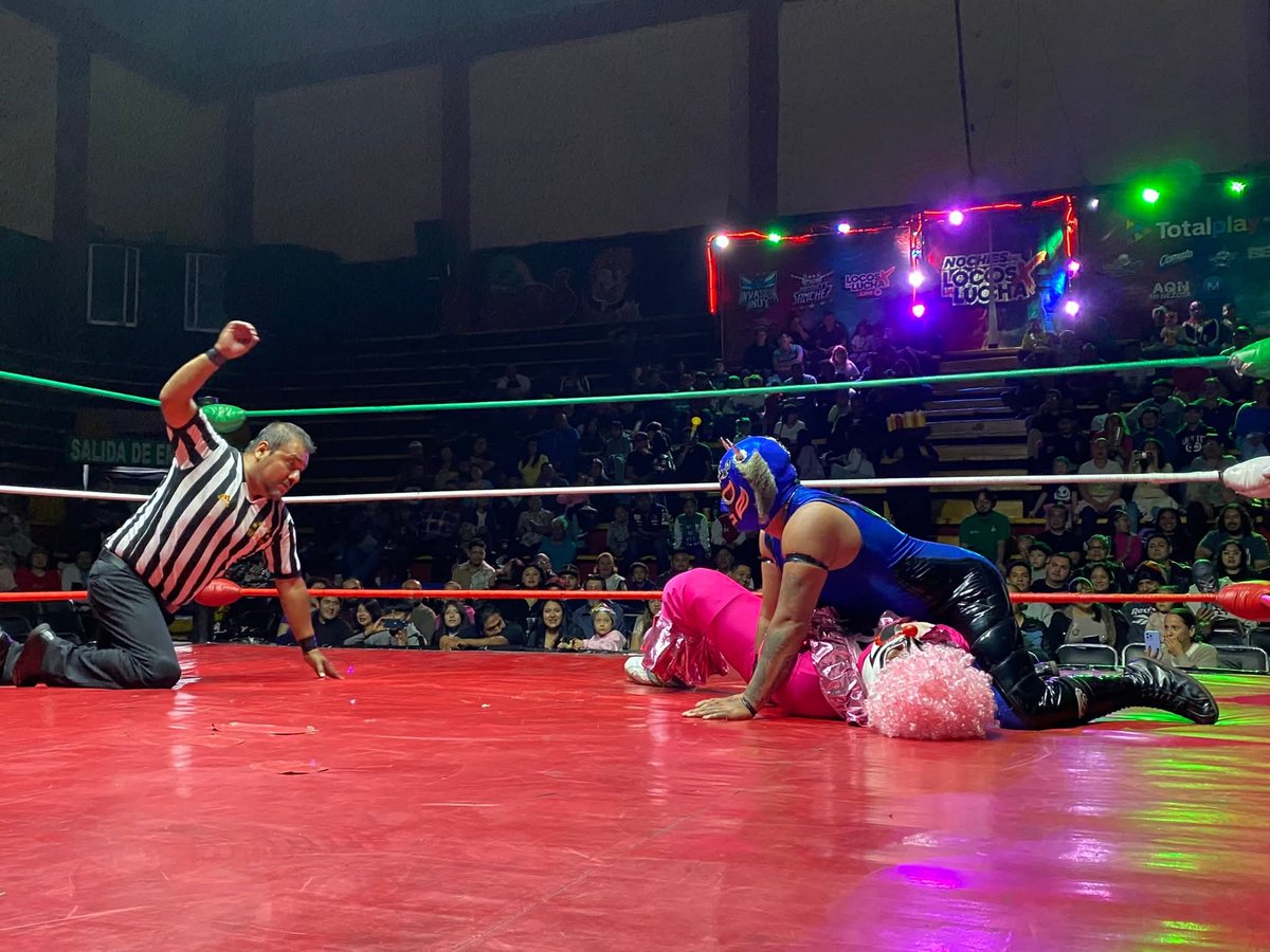 LaTijeraLucha's tweet photo. Se abren las acciones en la majestuosa #ArenaNeza, donde la dupla de #Zatana y #Tamus de forma sorpresiva dan cuenta de #CocoRosa y #Neftis en la primera lucha de la noche de #PromocionesElPatron e #InvasionIndy.
#latijeraluchalibre https://t.co/P1yc75yv4u