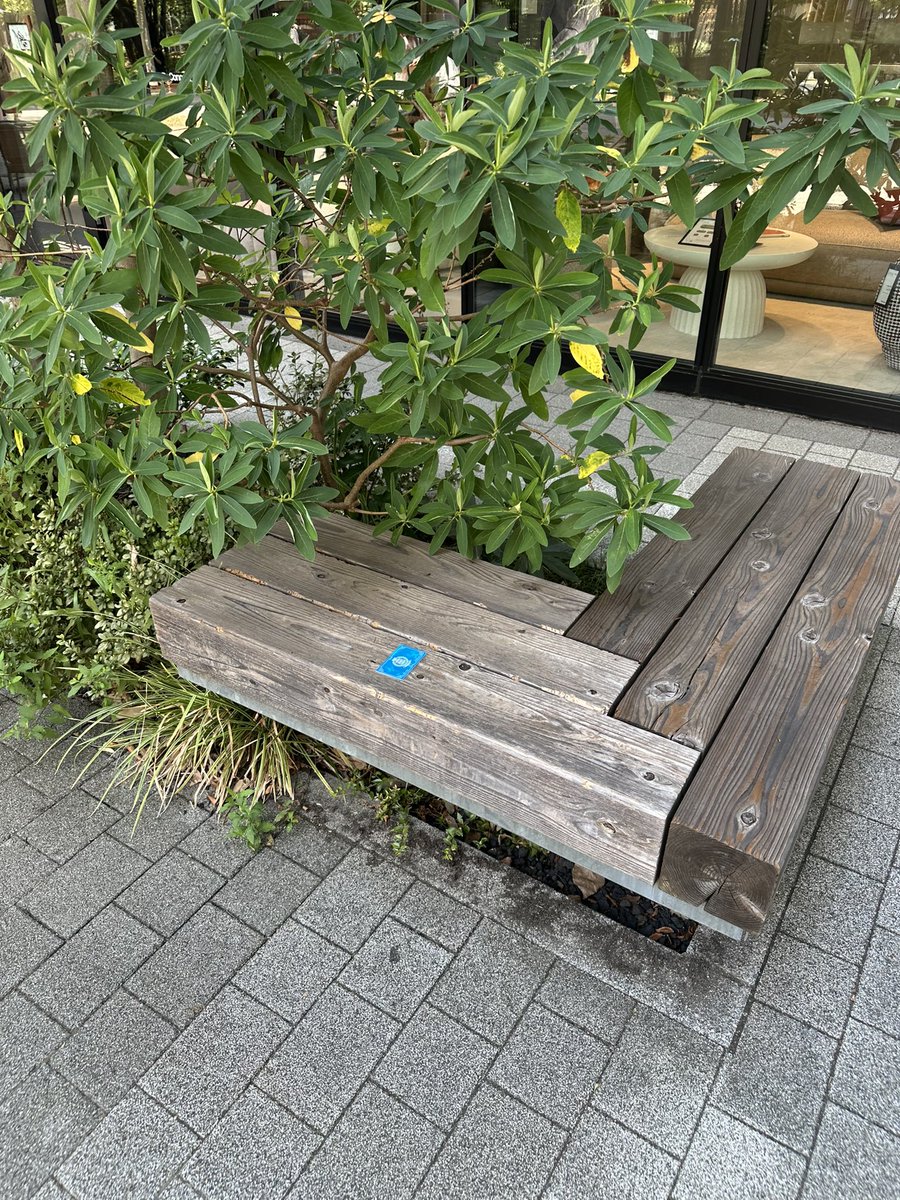 Nijisayu_B2024's tweet photo. ソウル↑メイト↓の方で学生証を無くした方いらっしゃいませんか！？

ベンチにMSSP学園の学生証が置かれているので心当たりのある方はお声がけください！！！

誰の学生証かはご本人確認の時に確認させてください！お手数ですがすみません💦

 #MSSP学園 https://t.co/8npr2ahyJB