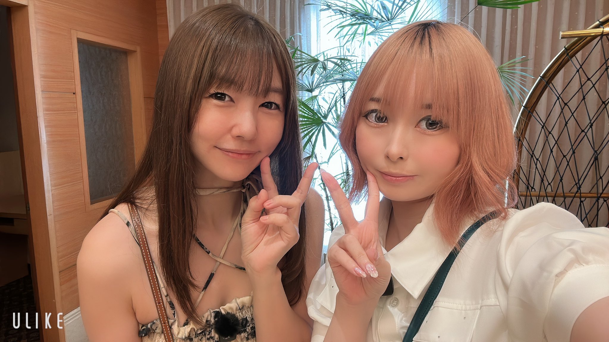 ❤️ タンポポさま❤️ YouTube