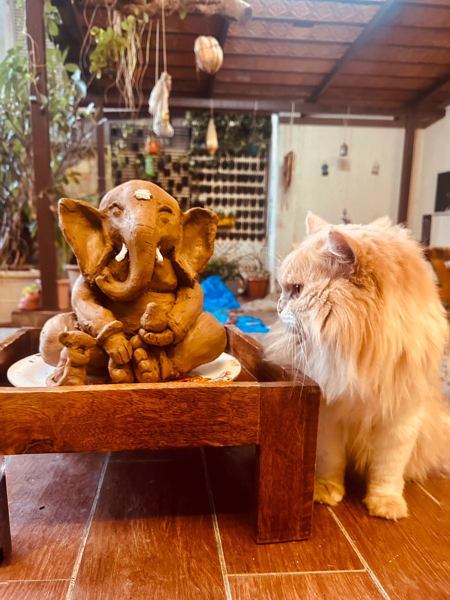 samyuktahornad's tweet photo. Handmade my own eco-friendly Ganesha :) https://t.co/ECySYxQm0k