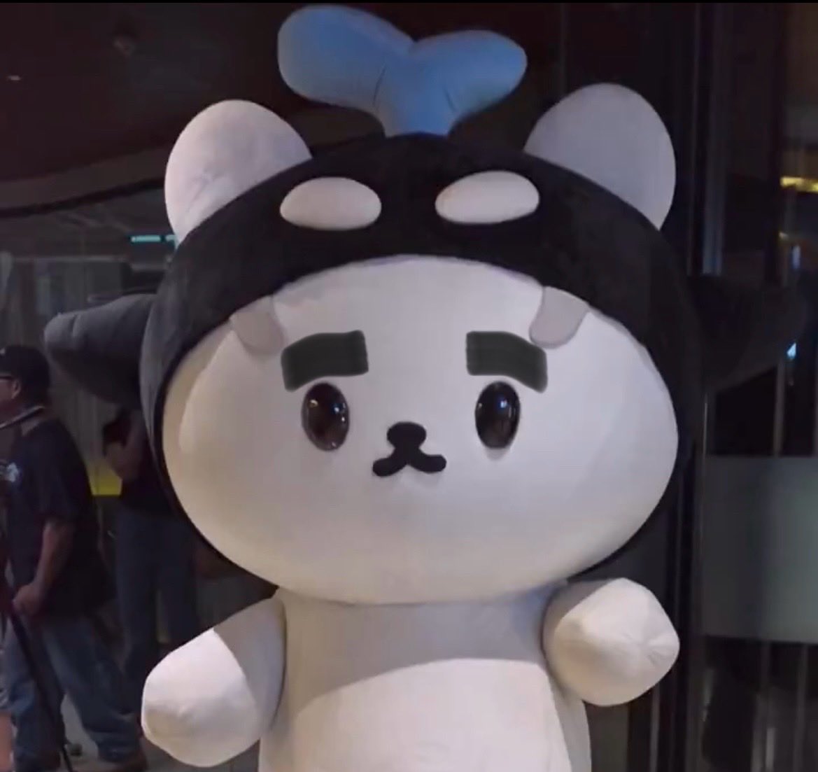 If San has eyebrows 😂