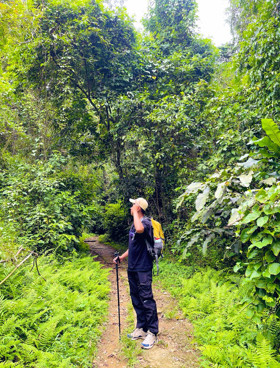 gm.jason tweet media