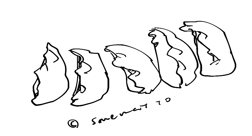 餃子。包むの下手くそ感が描けててよい。