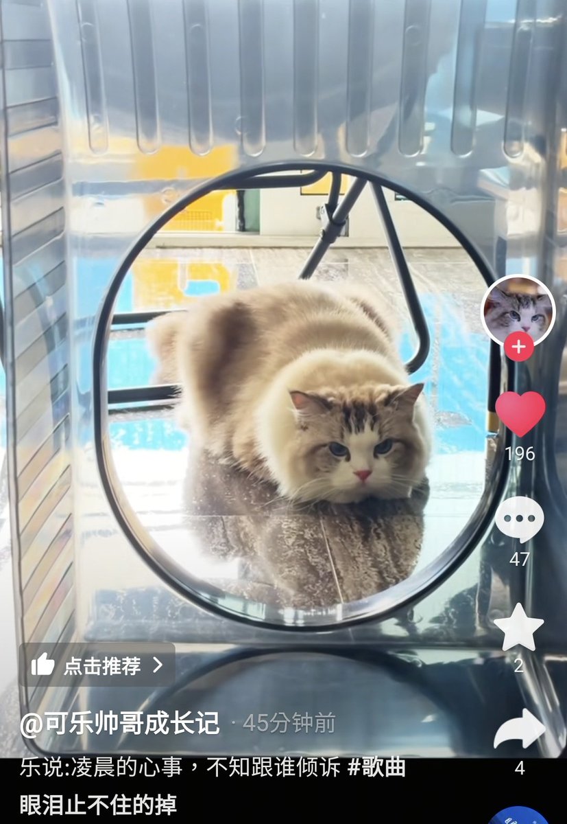 zhangyi99063504's tweet image. 可帥記最新更新“凌晨的心事，不知道跟誰傾訴”
……？
你半夜不睡覺一直去找你哥聊天，他就說你兩句，還給你委屈上了？
#张可乐 #CCO #KeleZhang