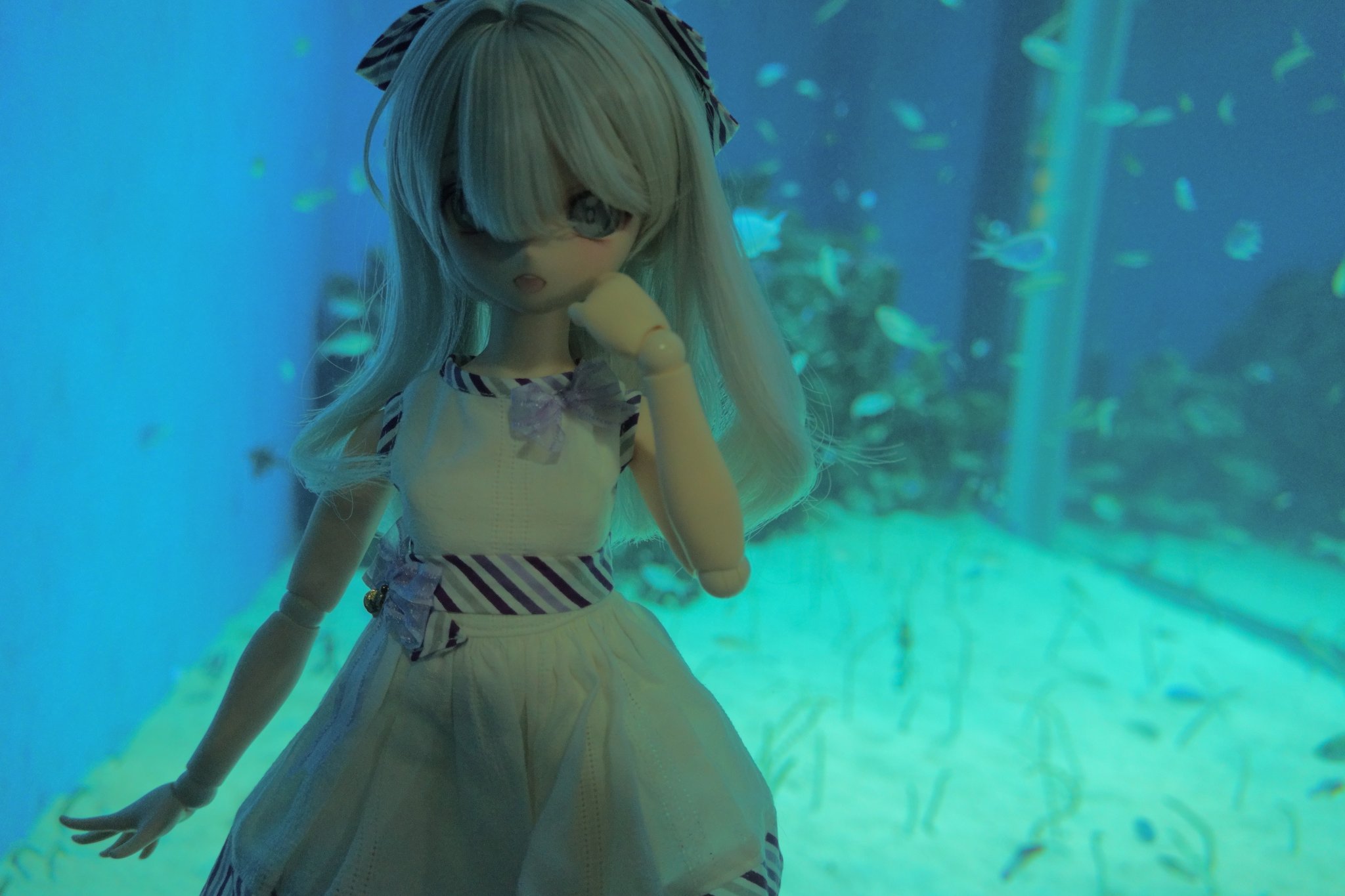 大福ちゃん 福ちゃん (@fukuvvaren33) / X