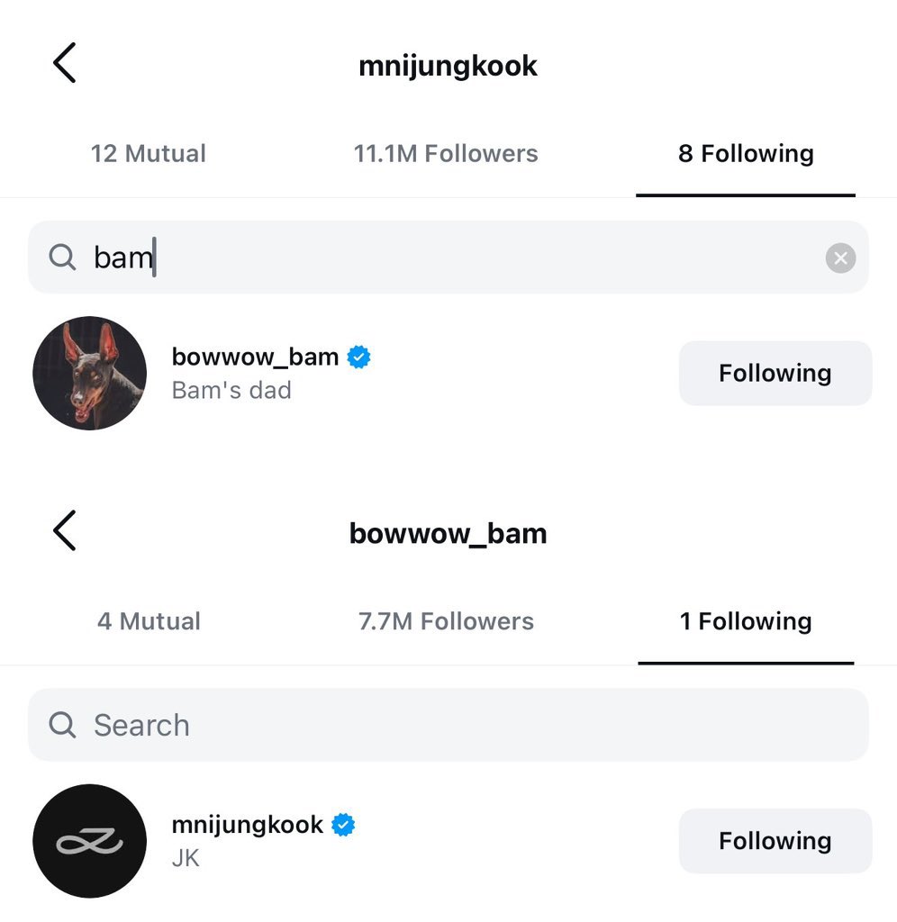 JUNGKOOK &amp; BAM FOLLOW EACH OTHER ON IG NOW!!!