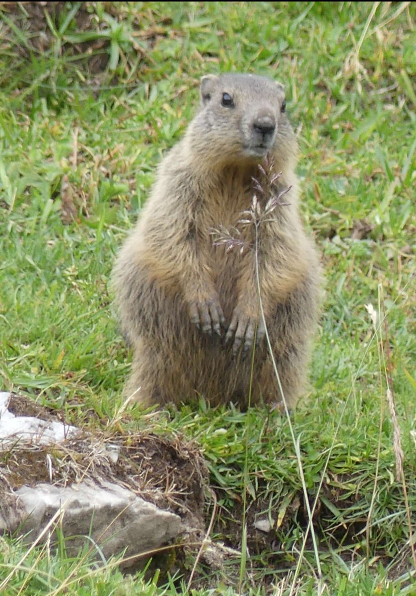Guten Morgen. Wunder gibt es an jeder Ecke. Wir brauchen nur hinzuschauen.