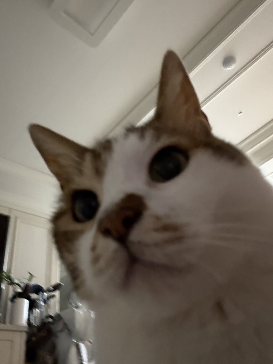 드디어점심이드셧나요  배고픕니다