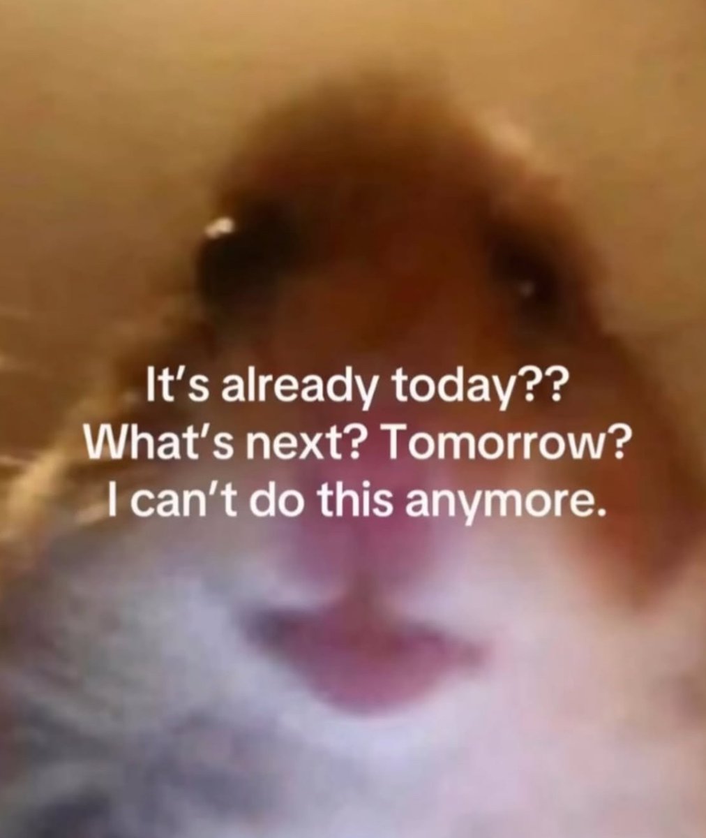 Respectful Memes (@respectfulmemes) on Twitter photo 