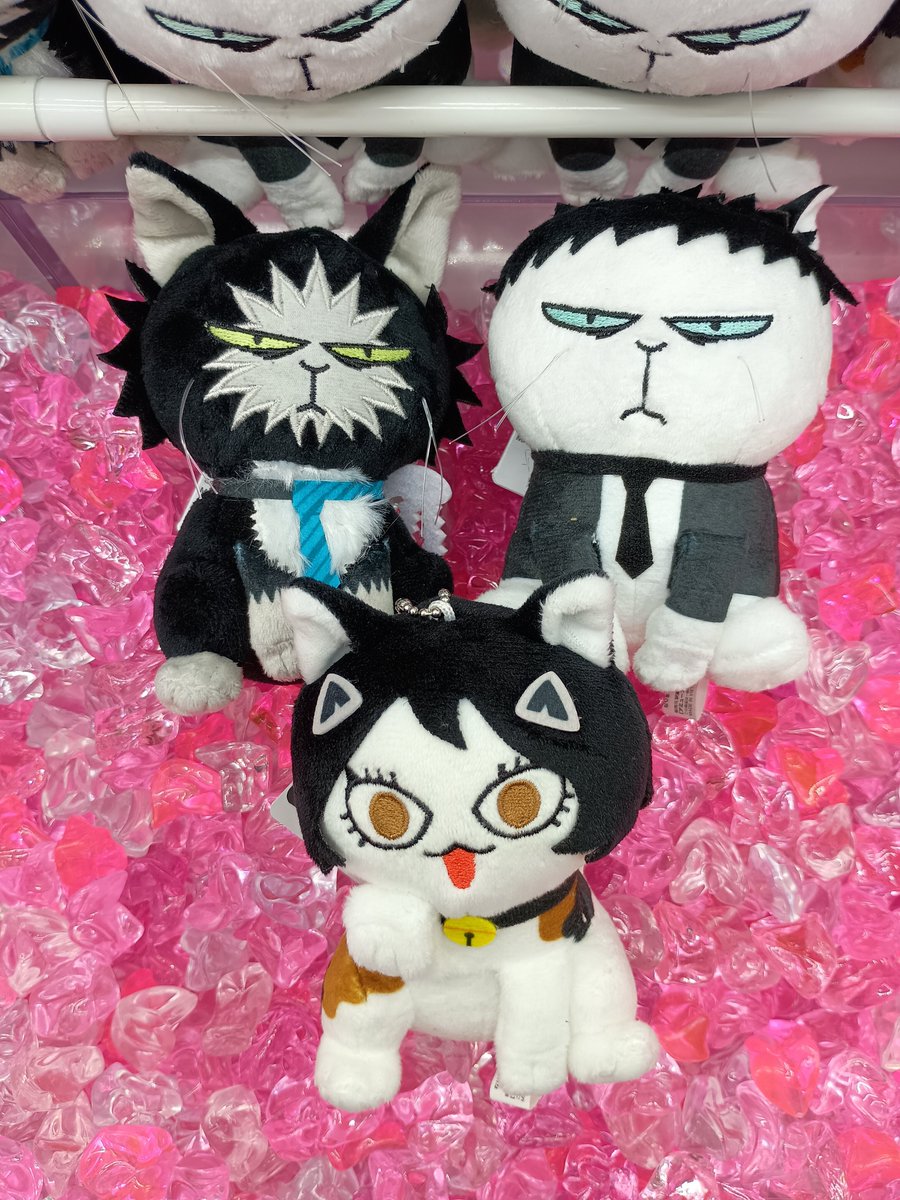 出禁のモグラ なりきり 動物ぬいぐるみ [百暗桃弓木] プライズ