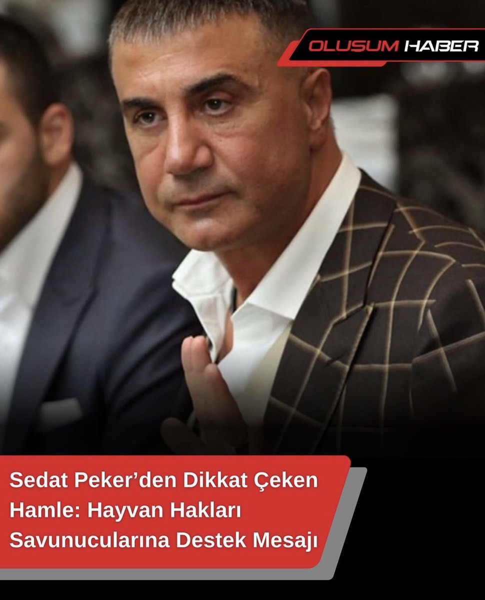 Sokak hayvanları için yaptığı yardımları ve onlara olan merhametini bildiğimiz Sedat Peker’den sokak hayvanları hamlesi geliyor. 

Artık sokak hayvanları gerçekten sahipsiz değil.