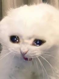 UnNaxida's tweet photo. @Mudae_EdisonV Quiero dejar constancia: le presté 1 rojo  y hasta hoy no me lo ha devuelto.
No es gracioso que alguien no cumpla con algo tan simple. Devuélveme mi money antes de que esto se vuelva mas personal https://t.co/4jfGitYi9c