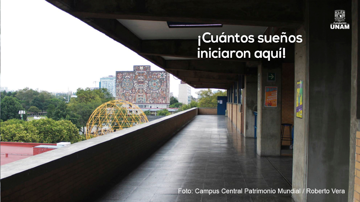 Fundacion_UNAM's tweet photo. ¡A descansar #Pumas! 😴🌠💤 Dulces sueños. https://t.co/nunh8QxzDO