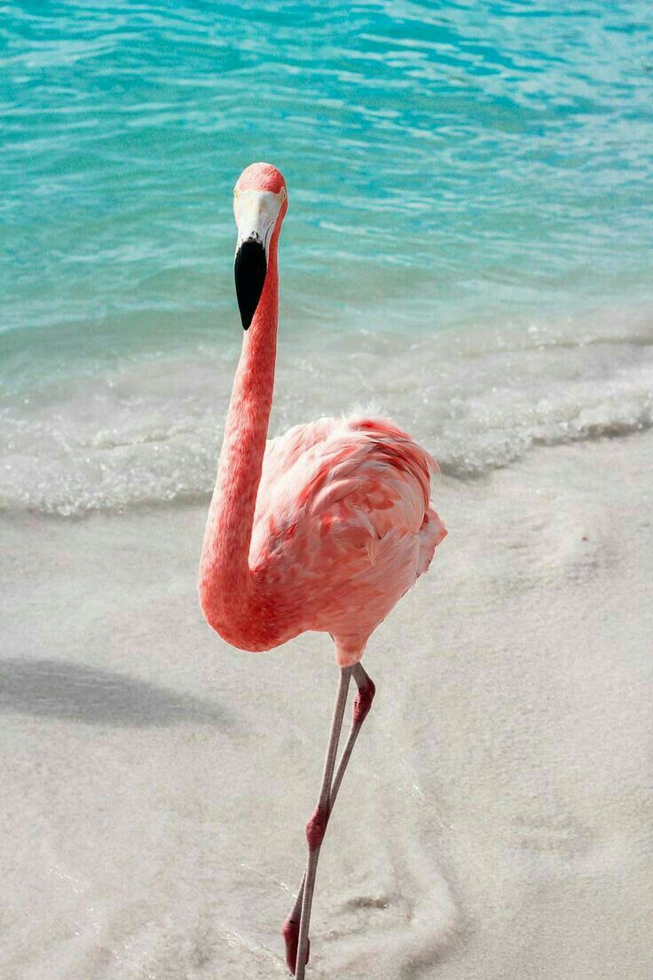 milkystar64's tweet image. try not to change your pfp challenge.  difficulty: hard