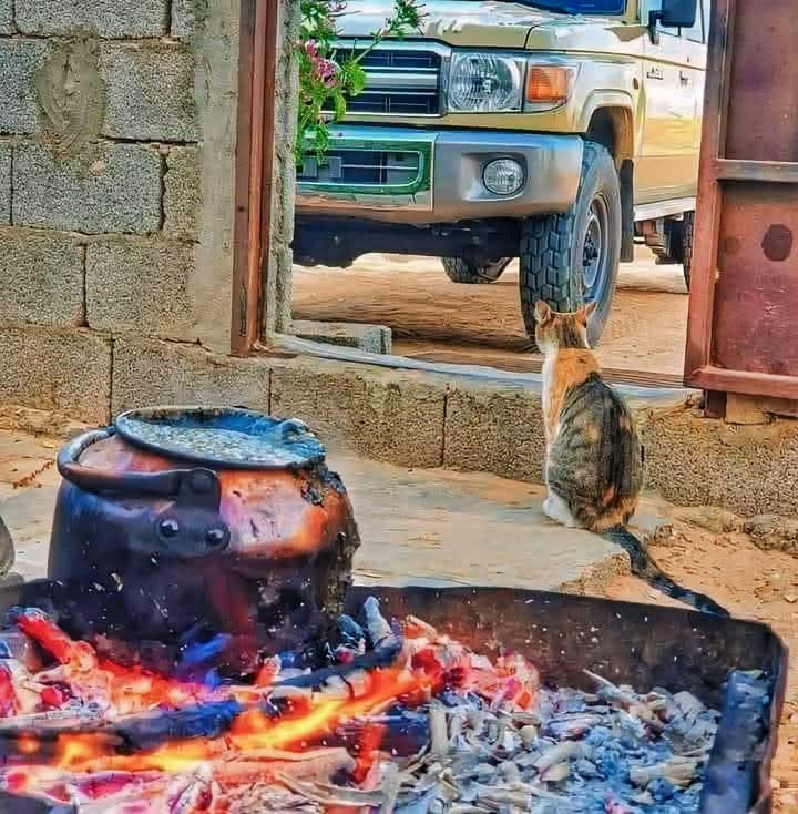 اجعل يومك مليئًا بالسعادة والإيجابية
#صباح_الخير 
#صباح_الخير_والسعاده