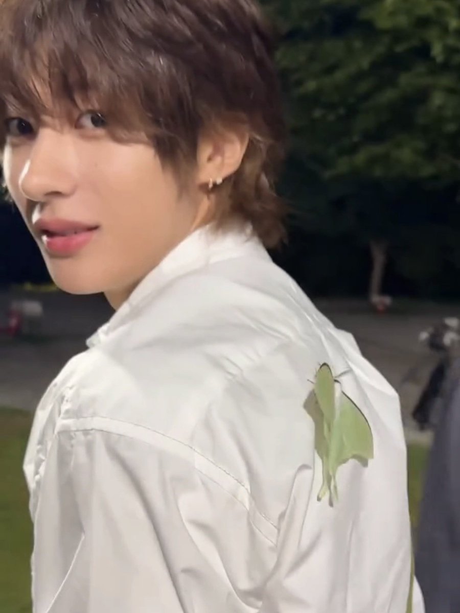 daintoiny's tweet photo. pretty 🧚🏻‍♂️ https://t.co/hCz4SmM7Vd