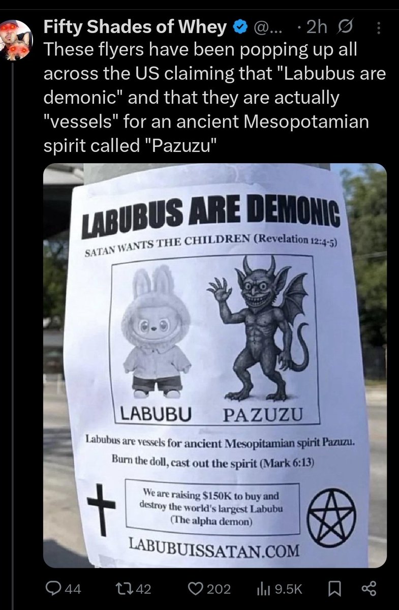 Shadow Wolf 🐺 tweet media