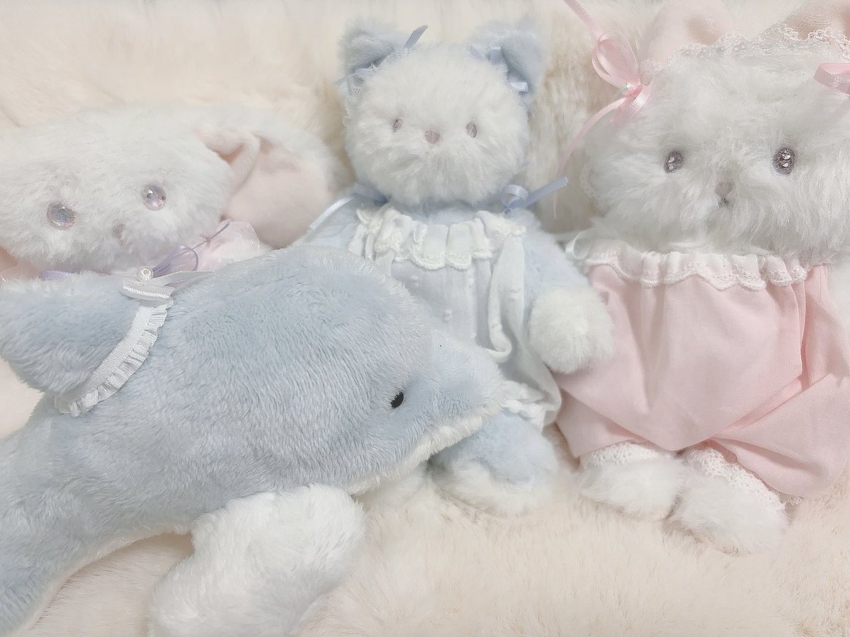 おもいで（<a href="/miruse_1/">おもいで</a> ）様より、天使イルカちゃんをお迎えしました🐬🤍ヒレにかわいいおりぼんつけて来てくれたぁ🥹🎀おもいでさんの優しくてどこか儚げな作風が本当にだいすき🥹🥹お名前は、アクアちゃんにしたよ🐬🤍今度一緒に水族館行こうね🫧