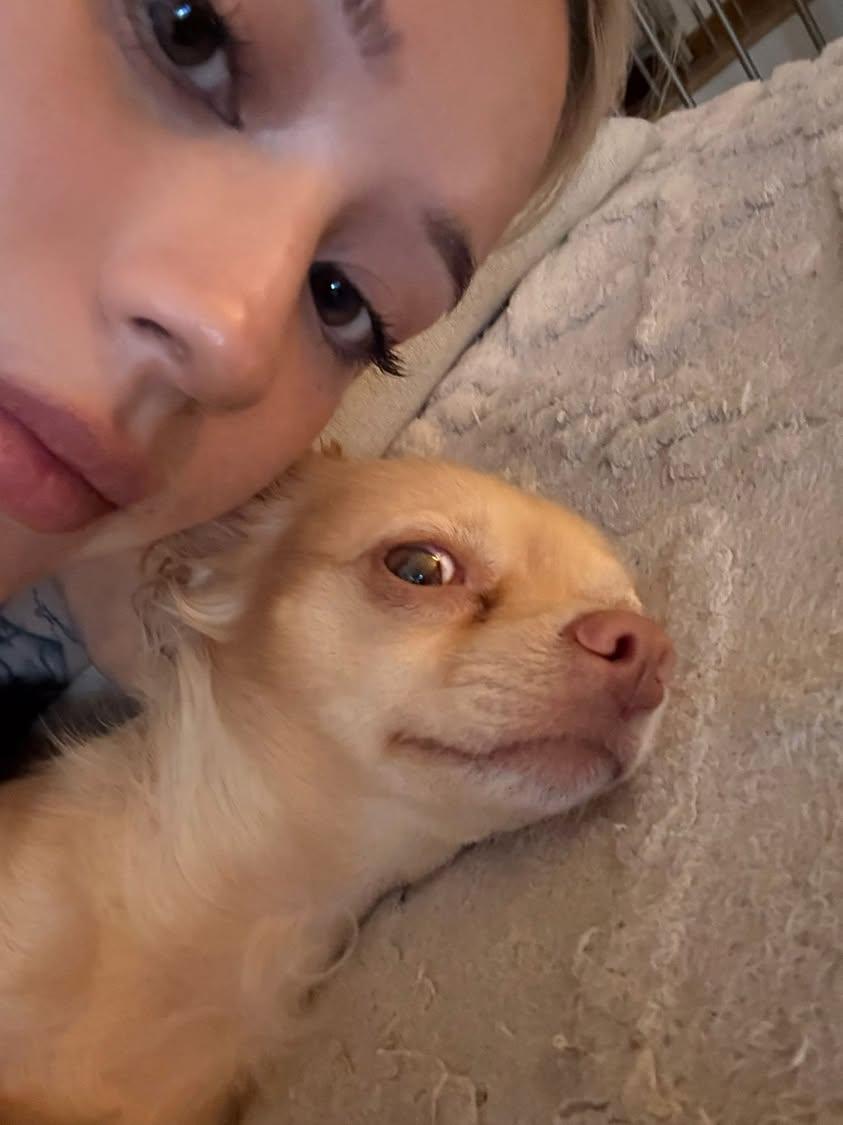 ⁷ (@keydanvain) on Twitter photo 