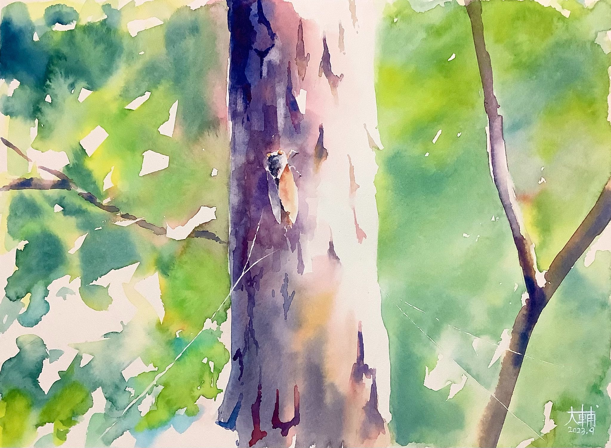 水彩画（一休み） 光る風（水彩画） | didi's artfactory