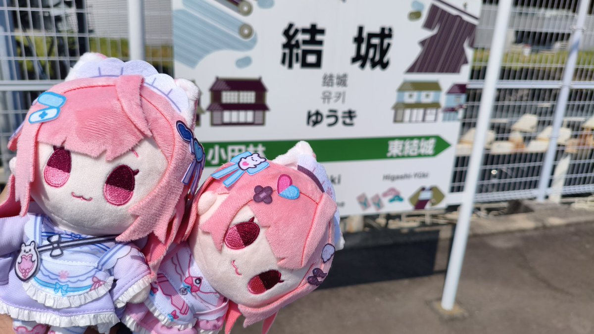 ぴっか🎀🐾 tweet media