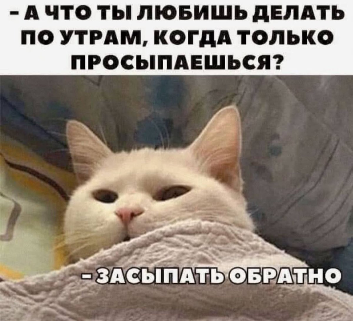 Доброе утро